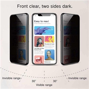 محافظ صفحه نمایش حریم شخصی اپیکوی مدل Hydrogel-Privacy مناسب برای گوشی موبایل سامسونگ Galaxy S22 Ultra