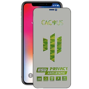 محافظ صفحه نمایش حریم شخصی اپیکوی مدل Cactus-ESD-Privacy مناسب برای گوشی موبایل اپل Apple iPhone 11