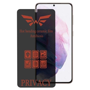 محافظ صفحه نمایش حریم شخصی اپیکوی مدل Nano-Privacy مناسب برای گوشی موبایل سامسونگ Galaxy S21 Plus
