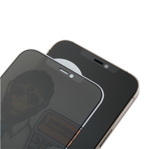 محافظ صفحه نمایش حریم شخصی بولوئو آیفون Blueo HD Anti-Peep Tempered Glass B Iphone 12 PRO MAX