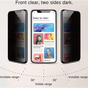 محافظ صفحه نمایش حریم شخصی اپیکوی مدل pri مناسب برای گوشی موبایل سامسونگ Galaxy S22 Ultra