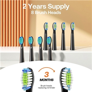 مسواک برقی Bitvae D2