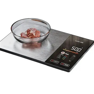 ترازوی هوشمند غذا گرین لاین Green Lion Smart Food Scale GNSMFSL6BK