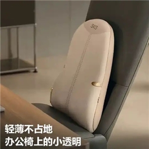 ماساژور کمر اس کی جی SKG T7 Series 2nd Generation