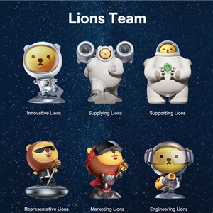 جعبه های هدیه بیسوس Baseus Lions Team Blind Box FMMH000600