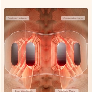 ماساژور الکتریکی کمر اس کی جی SKG W7 Pro Waist Massager