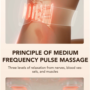 ماساژور الکتریکی کمر اس کی جی SKG W7 Pro Waist Massager