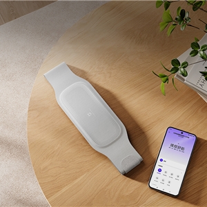 ماساژور کمر و شکم هوشمند شیائومی Xiaomi Mijia EMS Version MJYBAMY1-ZJ