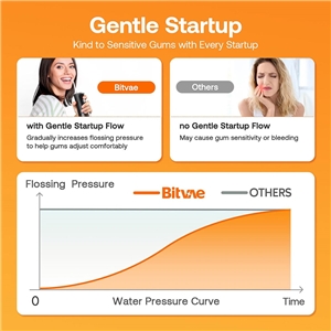 دستگاه شست‌وشوی دهان و دندان Bitvae C2