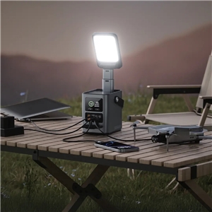 پاور استیشن 60000 گرین لاین Green Lion Energy Max Power Station GNEMPST60KGY