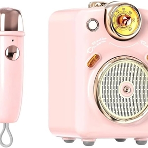 اسپیکر بلوتوثی برند دیووم Divoom مدل Fairy-OK