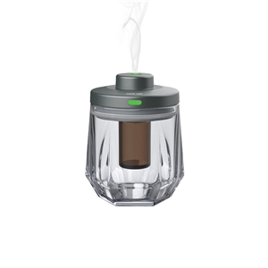 خوشبوکننده هوا گرین لاین Green Lion Crystal Fragrance Diffuser GNCRFRDIFGY