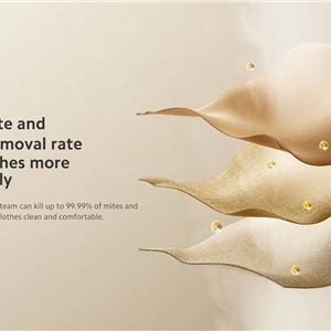 اتو بخار دستی شیائومی مدل Xiaomi Mijia Garment Steamer MJGTJ02LF